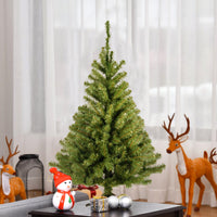 3 ft. Kincaid Spruce Tree - National Tree Company