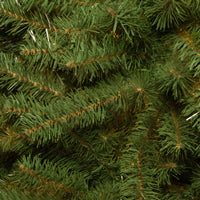 3 ft. Kincaid Spruce Tree - National Tree Company