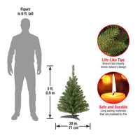 3 ft. Kincaid Spruce Tree - National Tree Company