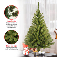 3 ft. Kincaid Spruce Tree - National Tree Company