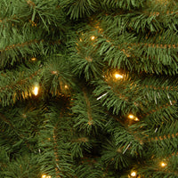 3 ft. Pre-Lit Kincaid Spruce Tree with Clear Lights - National Tree Company