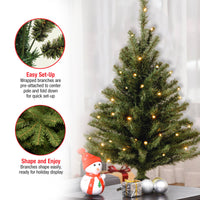 3 ft. Pre-Lit Kincaid Spruce Tree with Clear Lights - National Tree Company