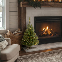 3 ft. Pre-Lit Kincaid Spruce Tree with Clear Lights - National Tree Company