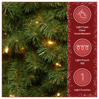 4 ft. Pre-Lit Kincaid Spruce Wrapped Tree with Clear Lights - National Tree Company