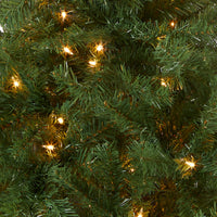 4 ft. Pre-Lit Kincaid Spruce Tree with Clear Lights - National Tree Company