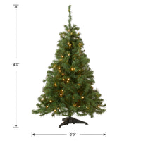 4 ft. Pre-Lit Kincaid Spruce Tree with Clear Lights - National Tree Company