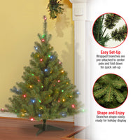 4 ft. Pre-Lit Kincaid Spruce Tree with Multicolor Lights - National Tree Company