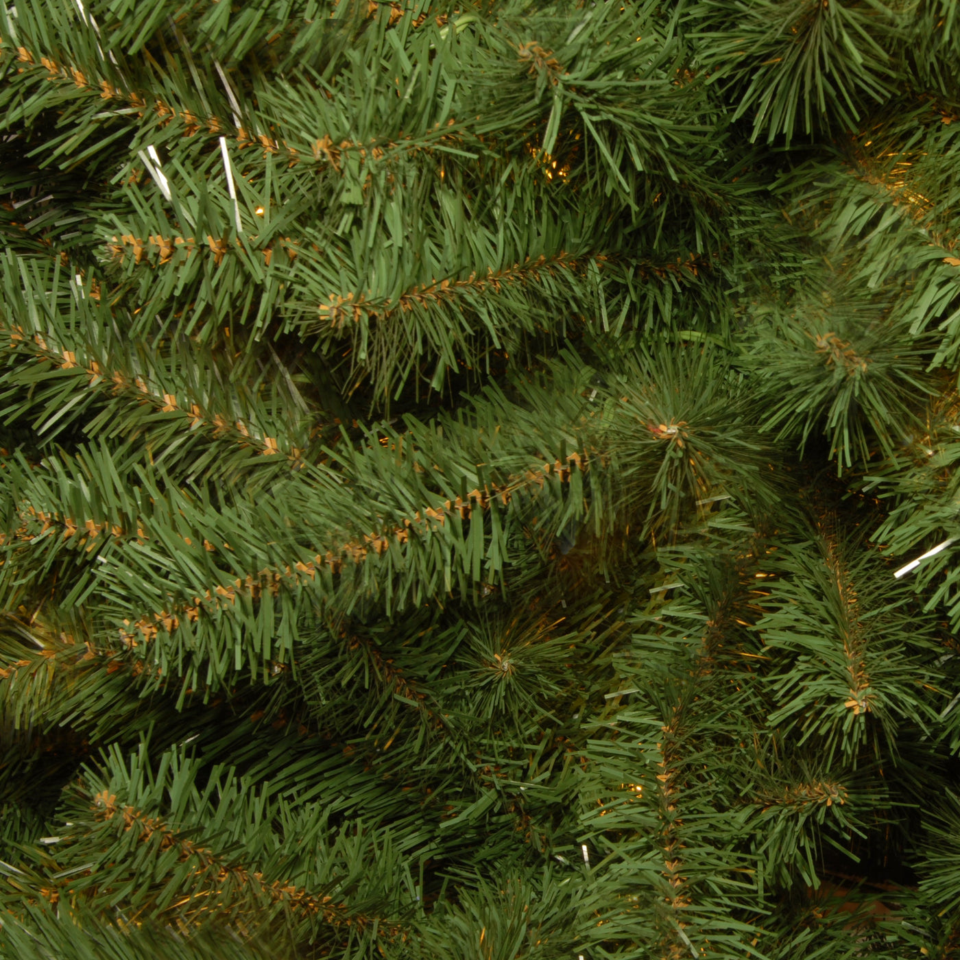 4 ft. Kincaid Spruce Tree - National Tree Company