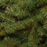 4 ft. Kincaid Spruce Tree - National Tree Company