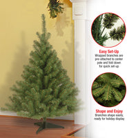 4 ft. Kincaid Spruce Tree - National Tree Company