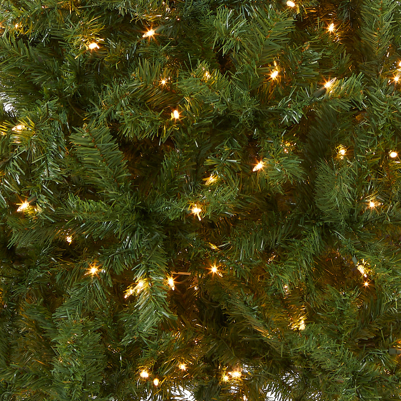 6 ft. Pre-Lit Kincaid Spruce Tree with Clear Lights - National Tree Company