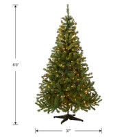 6 ft. Pre-Lit Kincaid Spruce Tree with Clear Lights - National Tree Company