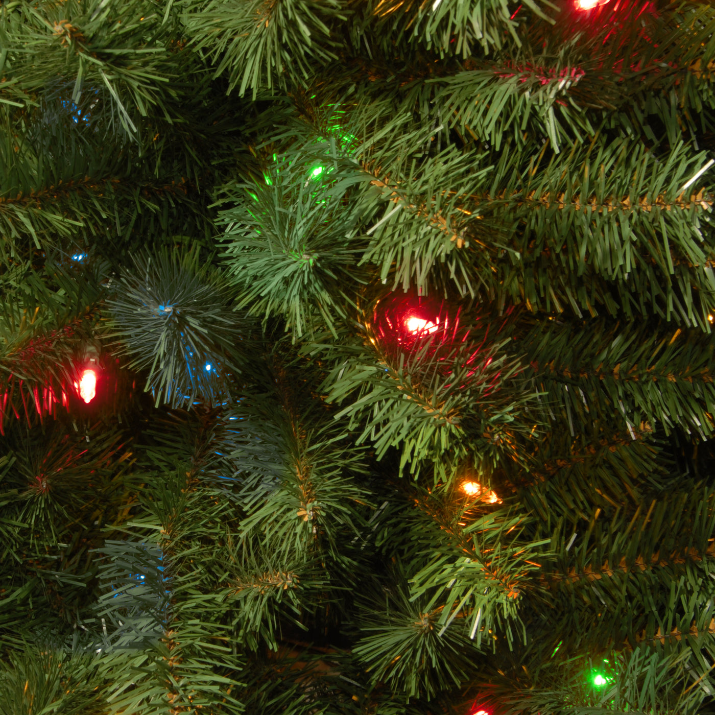 6 ft. Pre-Lit Kincaid Spruce Tree with Multicolor Lights - National Tree Company