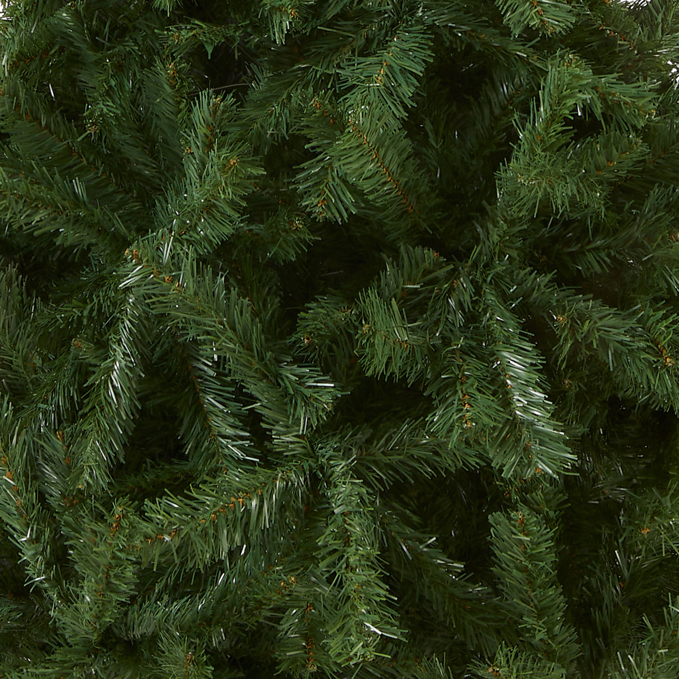 6 ft. Kincaid Spruce Tree - National Tree Company