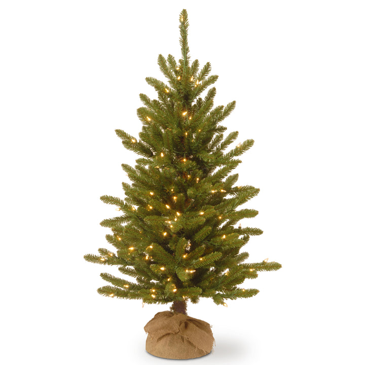 Pre-Lit Artificial Christmas Tree, Kensington, Green, White Lights, Includes Burlap Base, 4 Feet