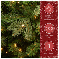 4 ft. Pre-Lit Kensington Fir Burlap Tree in a Burlap Sack with Clear Lights, Plug-In - National Tree Company