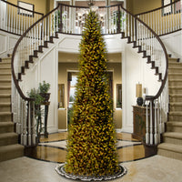 14 ft. Pre-Lit Kingswood Fir Pencil Tree with Clear Lights - National Tree Company