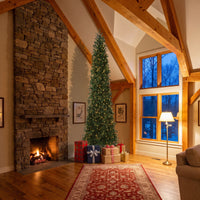 14 ft. Pre-Lit Kingswood Fir Pencil Hinged Tree with Clear Lights - National Tree Company