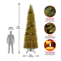 14 ft. Pre-Lit Kingswood Fir Pencil Tree with Clear Lights - National Tree Company
