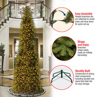 14 ft. Pre-Lit Kingswood Fir Pencil Tree with Clear Lights - National Tree Company