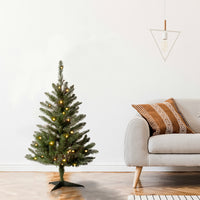 3 ft. Kingswood Fir Tree with Clear Lights - National Tree Company
