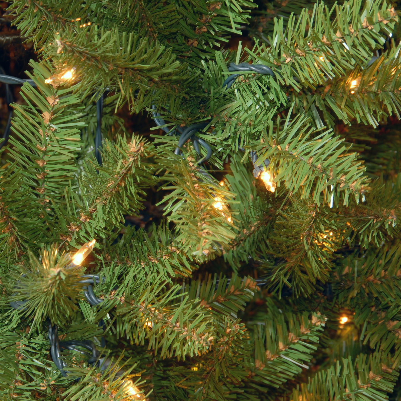 3 ft. Kingswood Fir Tree with Clear Lights - National Tree Company