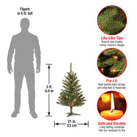 3 ft. Kingswood Fir Tree with Clear Lights - National Tree Company