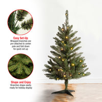 3 ft. Kingswood Fir Tree with Clear Lights - National Tree Company