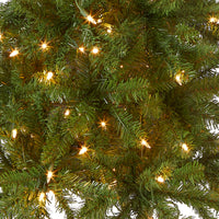 4.5 ft. Pre-Lit Kingswood Fir Pencil Tree with Clear Lights - National Tree Company