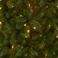 6 ft. Pre-Lit Kingswood Fir Pencil Tree with Clear Lights - National Tree Company