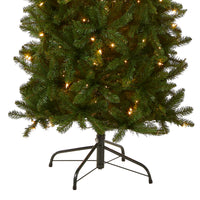 6 ft. Pre-Lit Kingswood Fir Pencil Tree with Clear Lights - National Tree Company