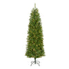 6.5 ft. Pre-Lit Kingswood Fir Pencil Tree with Clear Lights - National Tree Company