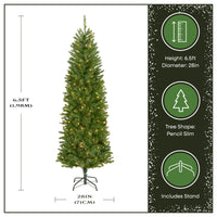 6.5 ft. Pre-Lit Kingswood Fir Pencil Tree with Clear Lights - National Tree Company