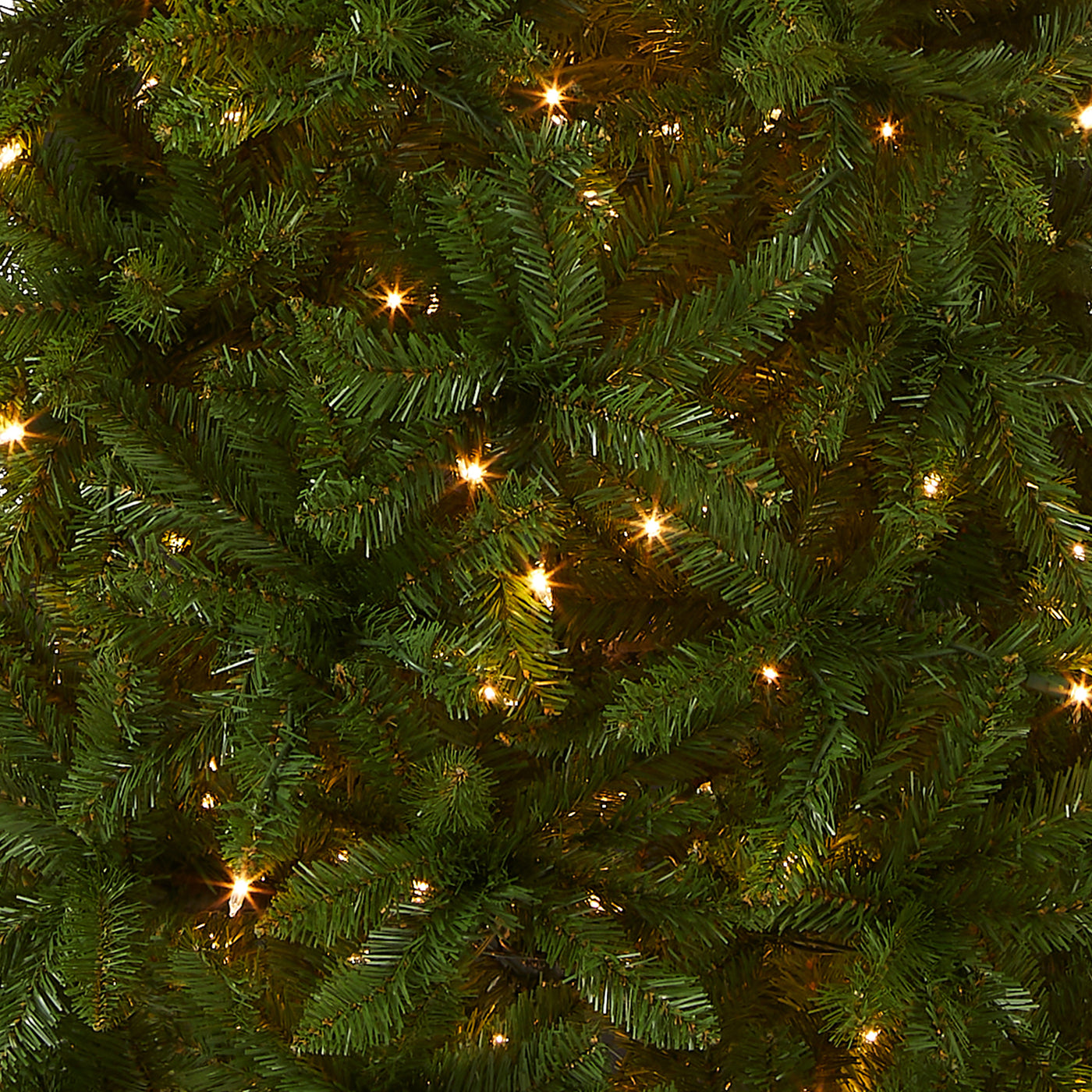 6.5 ft. Pre-Lit Kingswood Fir Pencil Tree with Clear Lights - National Tree Company