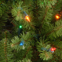 3 ft. Kingswood Fir Tree with Multicolor Lights - National Tree Company