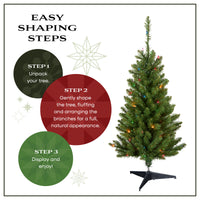 3 ft. Kingswood Fir Pencil Slim Wrapped Tree with Multicolor Lights - National Tree Company