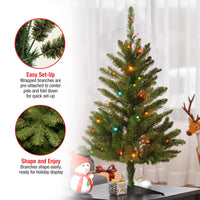 3 ft. Kingswood Fir Tree with Multicolor Lights - National Tree Company