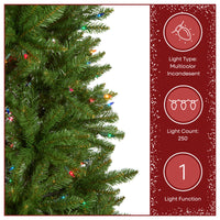 6.5 ft. Pre-Lit Kingswood Fir Pencil Slim Hinged Tree with Multicolor LED Lights - National Tree Company