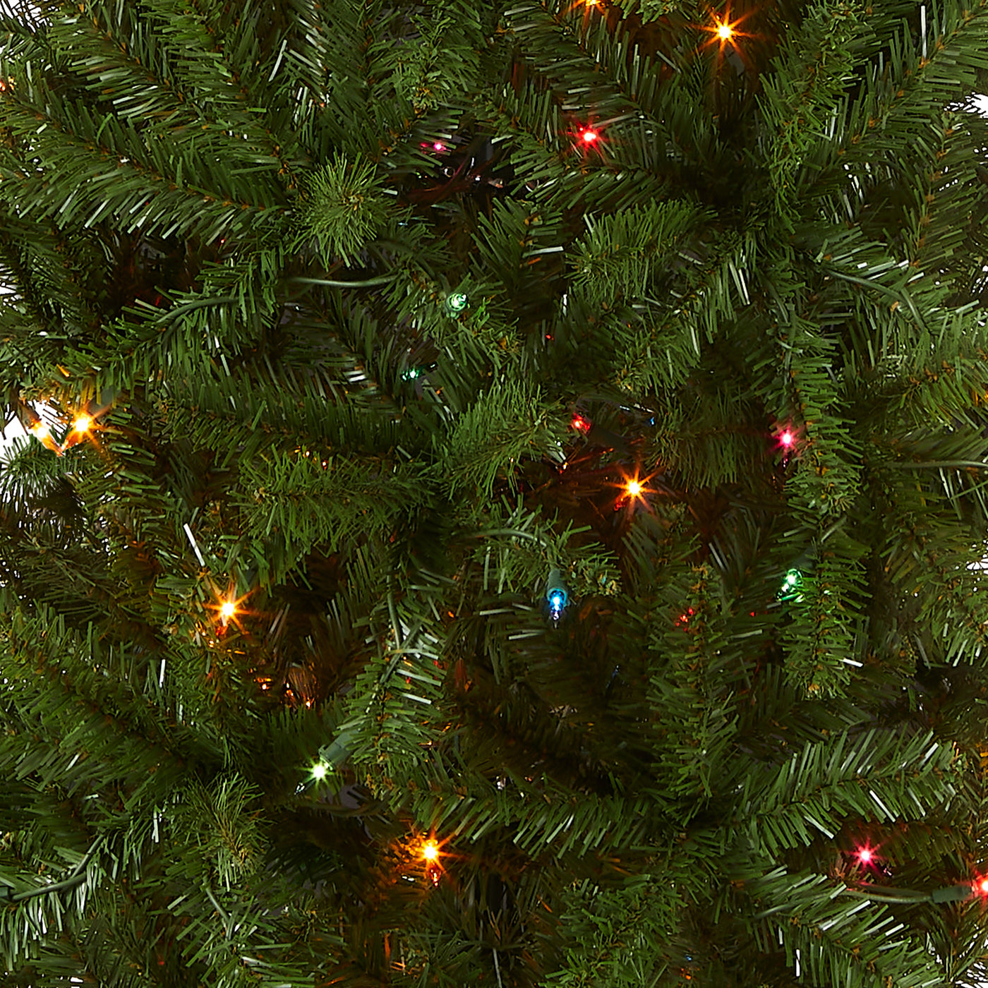 6.5 ft. Pre-Lit Kingswood Fir Pencil Tree with Multicolor Lights - National Tree Company