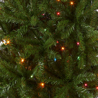 6.5 ft. Pre-Lit Kingswood Fir Pencil Tree with Multicolor Lights - National Tree Company