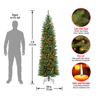 7 ft. Pre-Lit Kingswood Fir Pencil Tree with Multicolor Lights - National Tree Company