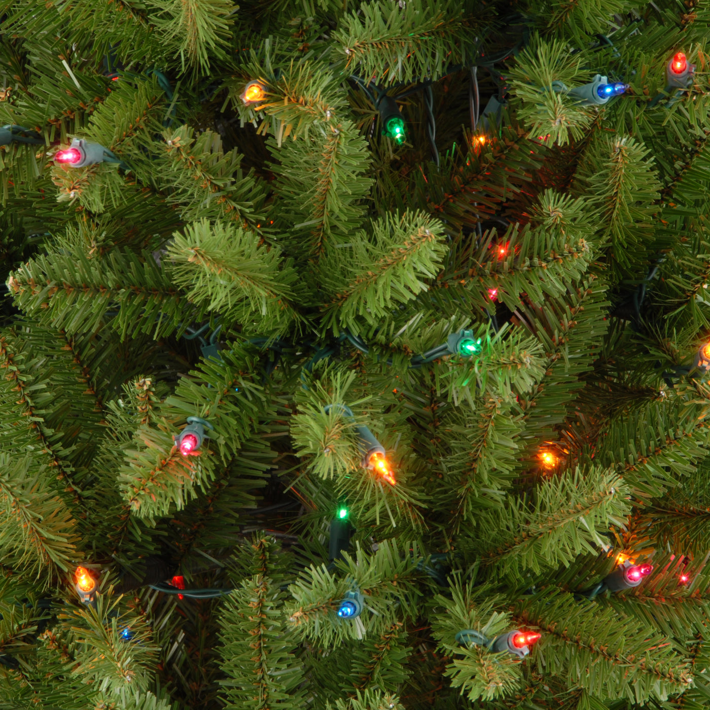 7.5 ft. Pre-Lit Kingswood Fir Pencil Tree with Multicolor Lights - National Tree Company