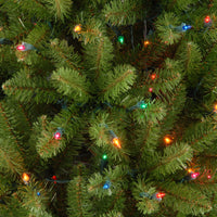 7.5 ft. Pre-Lit Kingswood Fir Pencil Tree with Multicolor Lights - National Tree Company