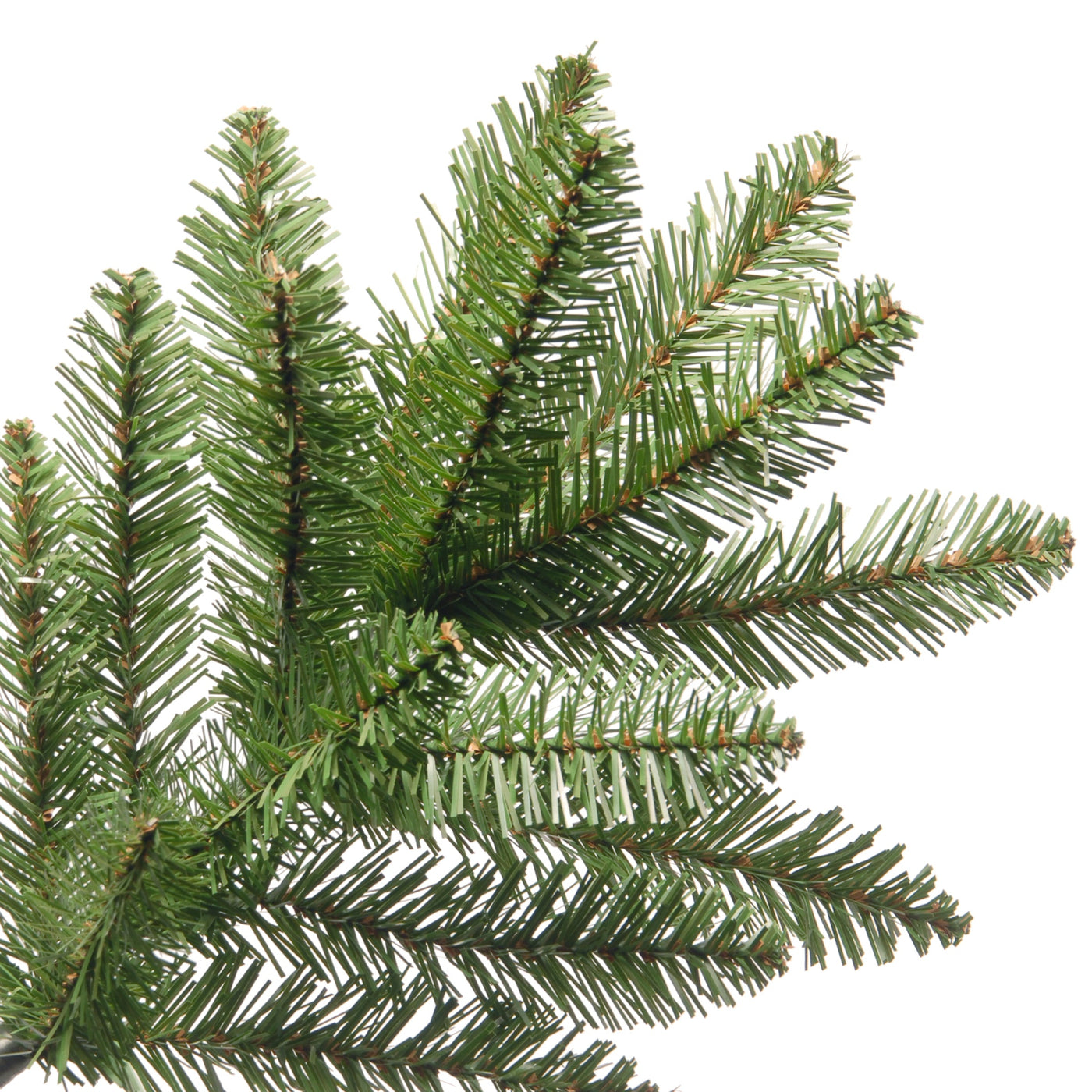 10 ft. Kingswood Fir Pencil Slim Tree - National Tree Company