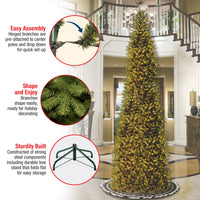 10 ft. Kingswood Fir Pencil Slim Tree - National Tree Company