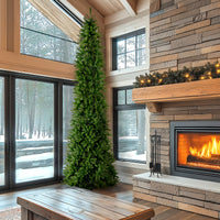 12 ft. Kingswood Fir Pencil Slim Tree - National Tree Company