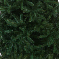 12 ft.Kingswood Fir Pencil Slim Tree - National Tree Company