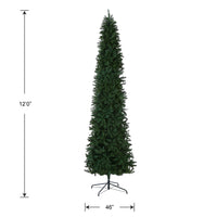 12 ft.Kingswood Fir Pencil Slim Tree - National Tree Company