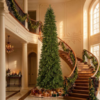 14 ft. Kingswood Fir Pencil Slim Hinged Tree - National Tree Company