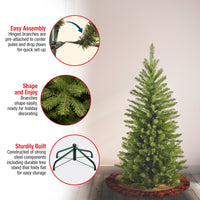 4 ft. Kingswood Fir Pencil Tree - National Tree Company